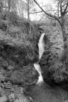 Aira Force