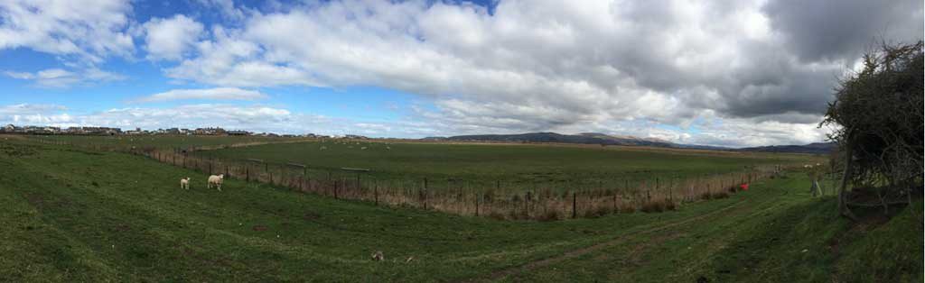 Borth Bog Pano