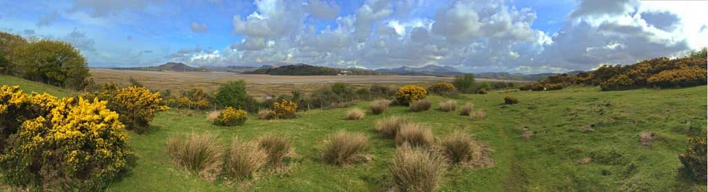 Estuary Views