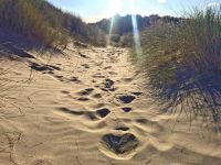 Footprints in the Sand