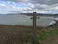 Into Borth