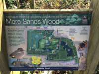 Mere Sands Wood