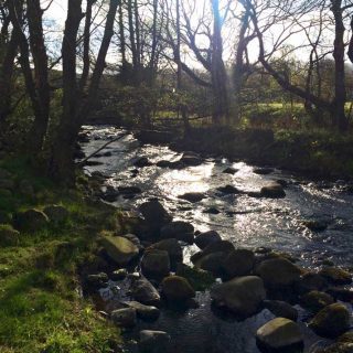Morning sunshine on the Coast Path