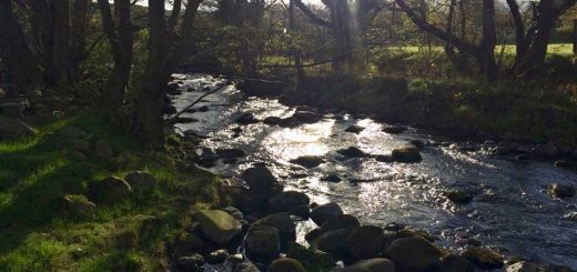 Morning sunshine on the Coast Path
