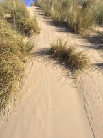 Sand Dunes