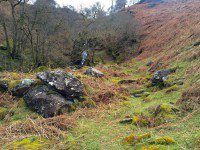 Scalehow Force