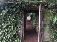 Secret Garden