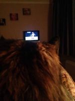 Snuggled up with the cat