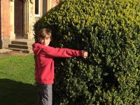 Tree-Hugging