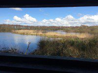 View From the Hide