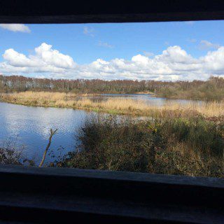 View From the Hide