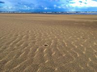 Ynyslas Beach