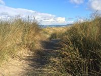 Ynyslas