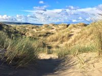 Ynyslas Dunes