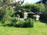 Apiary