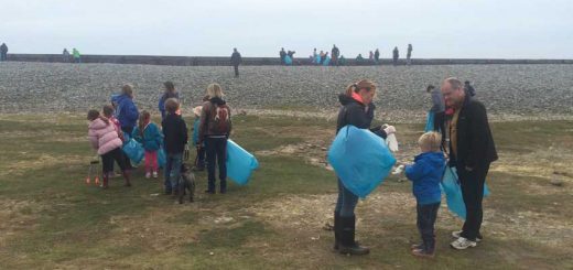 Beach Clean Brigade