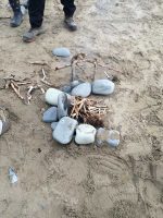 Beach Fire