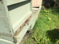 Bee-Hive