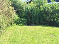 Bog Garden Area