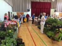 Borth Charities Fete