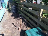 Clearing behind the house