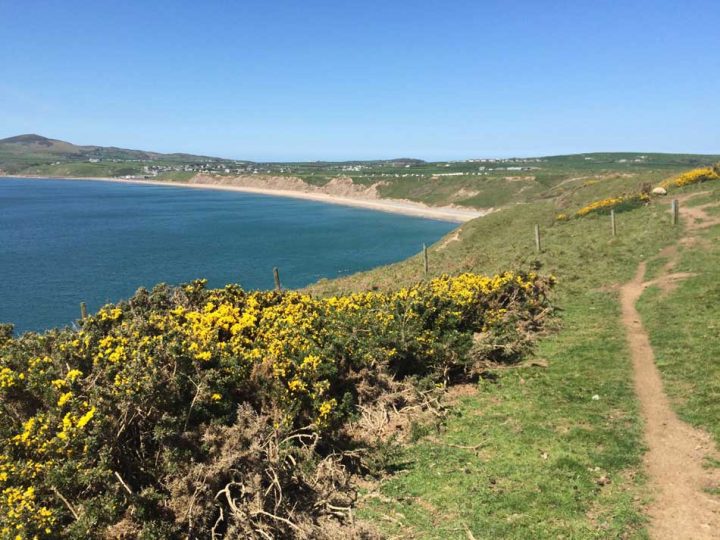 Cliff-Top Path