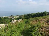 Coast Path above Nefyn