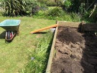 Filling the new raised bed