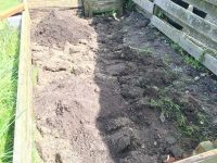Grass turned