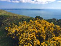 Looking back to Hells Mouth