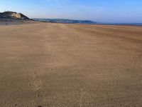 Morning on the Beach