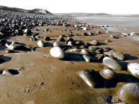 Pebbles on the beach