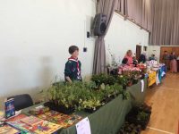 Scout Plant Stall