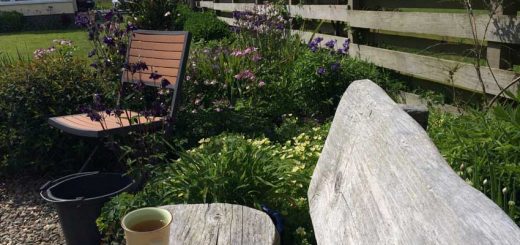 Tea Break
