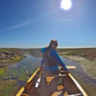 Up a Creek