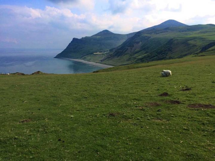 View from Penrhyn Glas