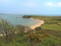 Ynys Cyngar