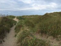 Aberffraw Dunes