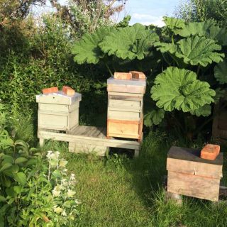 Apiary