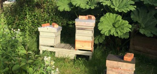 Apiary