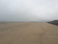 Back to Grey Skies