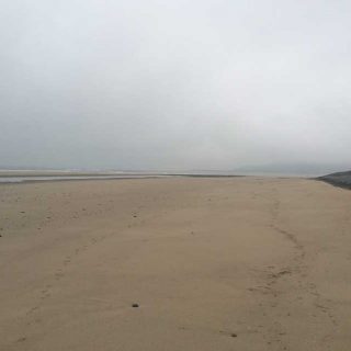 Back to Grey Skies