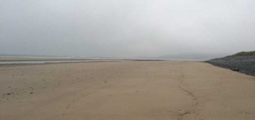 Back to Grey Skies