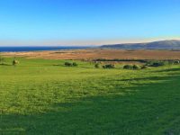 Borth Bog