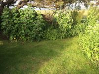 Bottom of the Garden