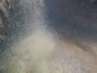 Clouds of Fry