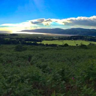 Dyfi Estuary Pano