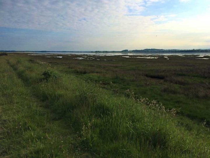 Estuary Embankments