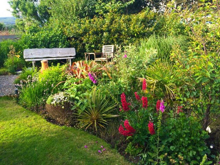 Garden in June