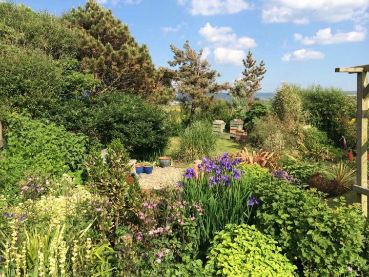 Green Garden Retreat